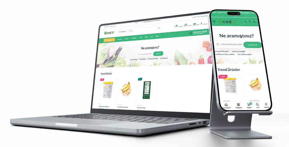 E-Ticaret Web Sitesi Paketi V8 + Pazaryeri + Hosting Hizmeti